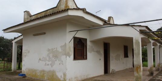 FRANCAVILLA FONTANA: FABBRICATO IN CAMPAGNA DA RISTRUTTURARE