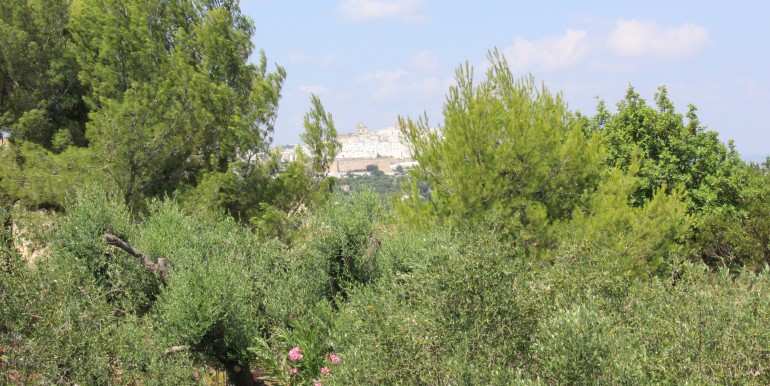 villa ostuni mare (52)