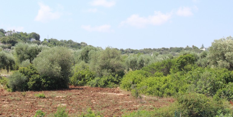 villa ostuni mare (54)