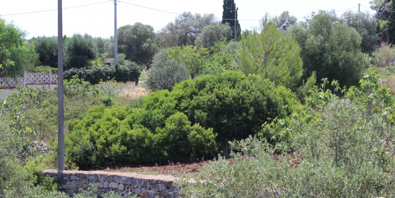 villa ostuni mare (56)