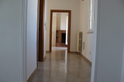 IMG_2555